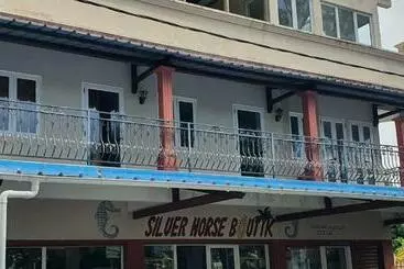آپارتمان‌های توریست‌ها Silver Horse