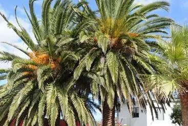 Appartamenti turistici Two Palm House   Vermont Hermanus