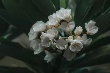 Pensão Kelana Guest House