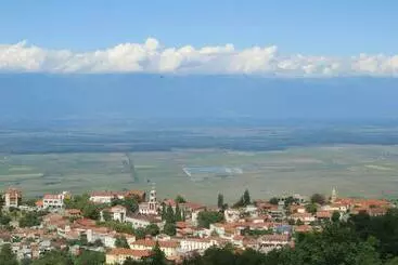 پانسیون Family Hotel In Nukriani , 2km From Sighnaghi