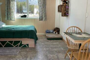 Bed and Breakfast Jade City Dog House