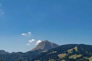 ホテル D Bulle  La Gruyere