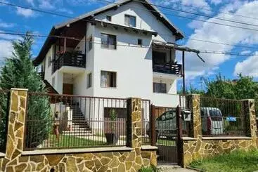 ペンション Vila San Nicoara