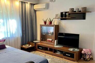 آپارتمان‌های توریست‌ها Intercontinental Apartment