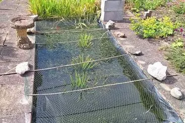 Appartamenti turistici Luxurious Entire Studio In Axminster Suitable For