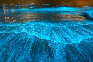 آپارتمانهای توریستها Dunas Da Barra