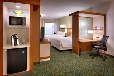 호텔 Springhill Suites By Marriott Houston I 45 North