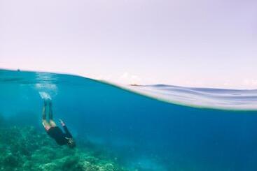 هتل Paguro Seaview