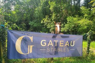 Bed and Breakfast Ferme équestre & Chambres D Hôtes Gateau Stables Proche Guédelon