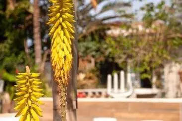Albergue Jardim Secreto Guest House