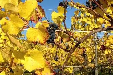 Bed and Breakfast Chambres D Hôtes Et Gîte Chez Martine