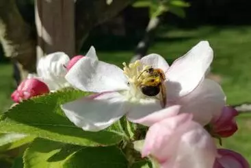 Bed and Breakfast Clos Charmille
