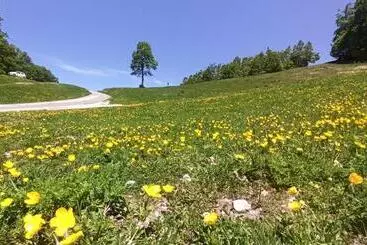 Pisos turísticos Attico Stella Alpina