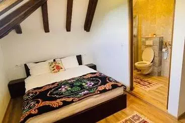 Pensão Casa Moroșanului Vișeu De Sus