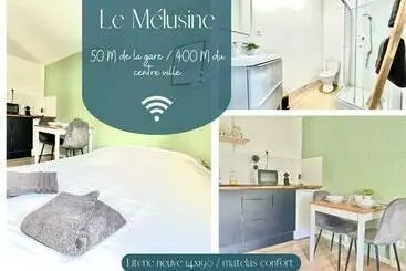 Apartaments turístics Le Mélusine , à 50m De La Gare De Poitiers