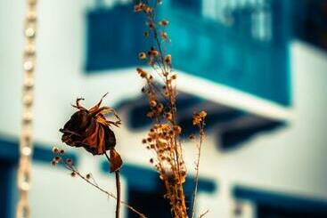 Appartements touristiques Alojamiento Entero Turquesa Hostal Boutique