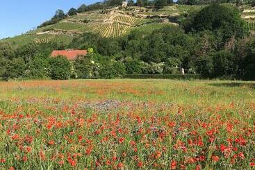Turist apartmanları Ferienhaus Portugieser Auf Dem Weinberg