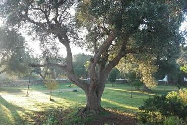 Turist apartmanları Sol Invictus Est