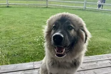 Hôtel Rocking R Guest Ranch