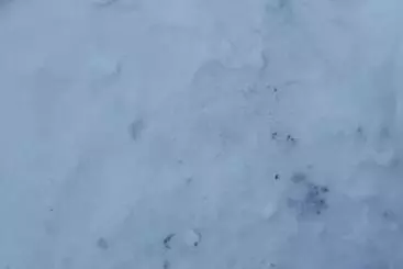 Pensjonat Bonita Chalet