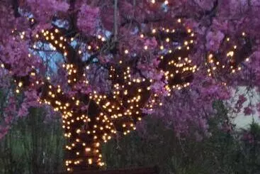 Pensão Rosehill Cottage