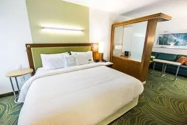 בית מלון כפרי Springhill Suites Lumberton