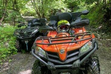 بنسيون La Bustea