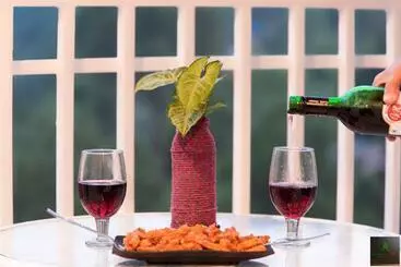 Hôtel The Coudberry I Serviced Villa I Pvt Balcony I Open Air Terrace I Bonfire I Couple Friendly I By Exo