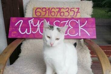 Wyciszek   Mazurska Agroturystyka