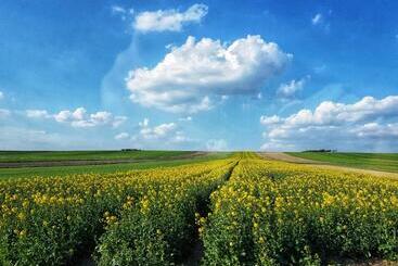 민박 Pałac W Krzelowie