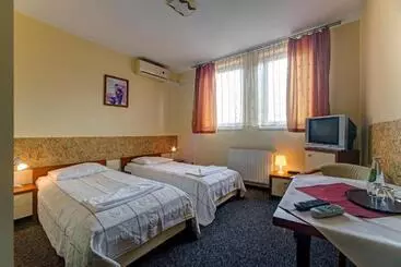 Hotel Piast