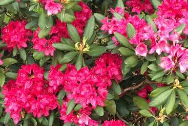 Lägenhetshotell Gosciniec Tombor