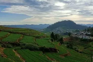 Bed and Breakfast Heritagewoods Ooty