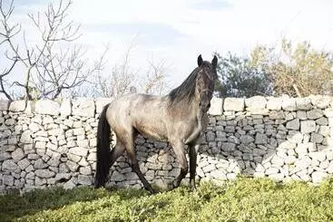 Panzió B&b Masseria Serri