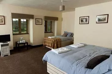 Bed and Breakfast Fat Pigeon