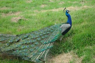 Maison De Maître En Baie De Somme
