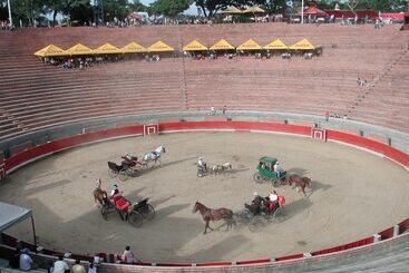 ホテル San Antonio Del Cerro