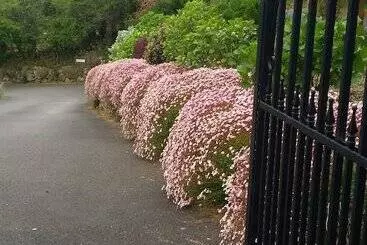 بنسيون Glenn Eireann House