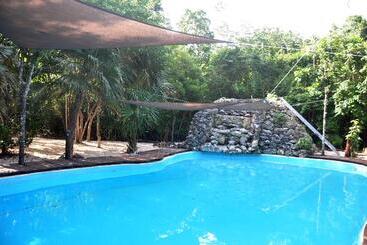 Hotel Jolie Jungle Eco