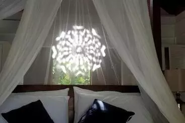 Hôtel Gingerbread Suites