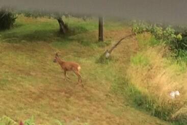 Residenssi Coastal Farm Cottage With Epic Views