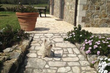 Bed and Breakfast Bagno Santo Residence