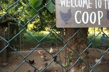 Lovely 6 Bed Cottage In Braga Enjoy And Relax