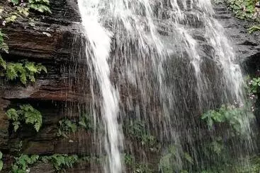 Hotel The Greenwood Resort Chikmagalur   Escape To Tranquil Mountain Views