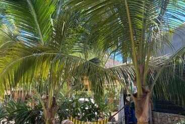 Hostal Punta Paraíso Cabañas