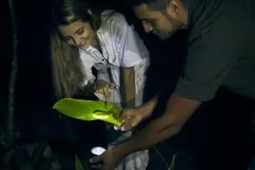 ホテル Bosque Guardian Lodge