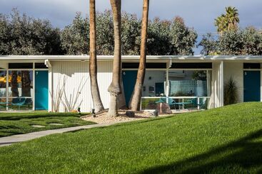 The Monkey Tree Hotel Buyout By Avantstay Entire Hotel Buyout Funky Rooms W Modern Amenities