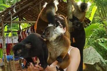 پانسیون 293 On Komba Guest Lodge Adults Only