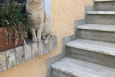 Hotel wiejski Agriturismo Santa Lucia