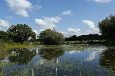 Mökkimajoitus Beech Lodge